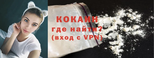 индика Армянск