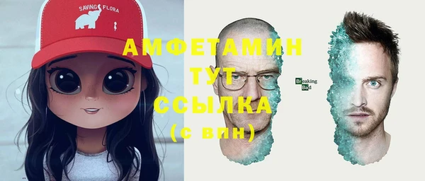 индика Армянск