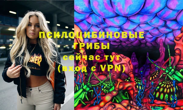 мдпв Беломорск
