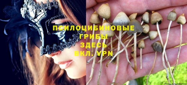 мет Новозыбков