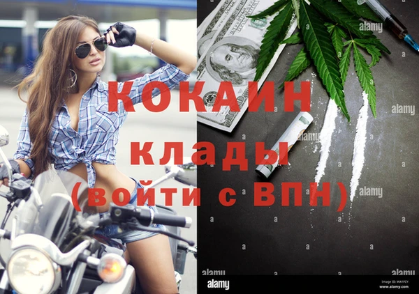 индика Армянск