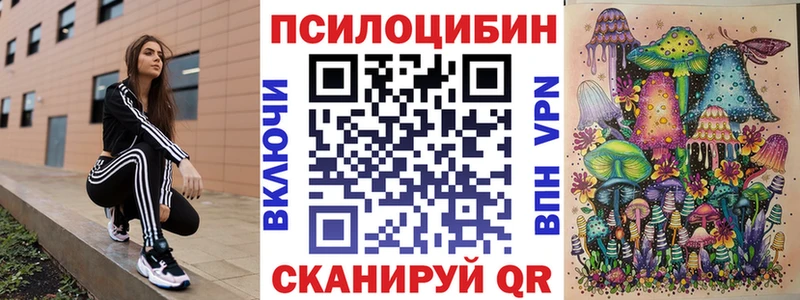 где продают   Пересвет  Псилоцибиновые грибы ЛСД 